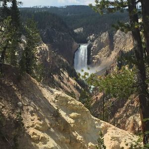 Meet your Posher, Jami